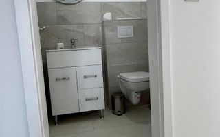 Dumbravita, 3 camere, 2 bai,  Pet-friendly - Poză 11