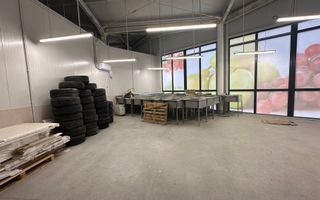 Spatii comerciale de inchiriat in PIATA DELFINULUI - Poză 8