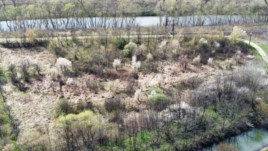 Teren intravilan Balint 22.500 mp - Poză 10