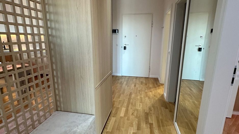 Apartament 3 camere la Paltim - Poză 35
