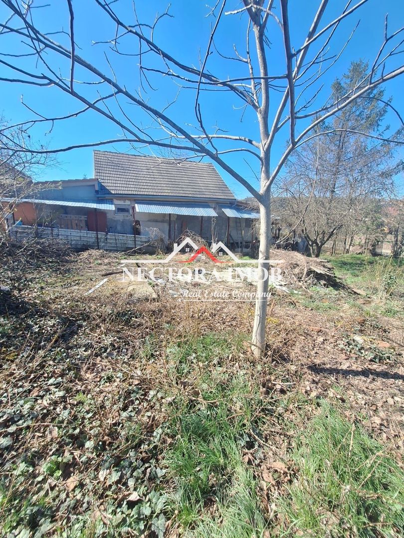 Teren INTRAVILAN Zona N. Beldiceanu - Dealurile Oradiei, Front 27ml - Poză 6