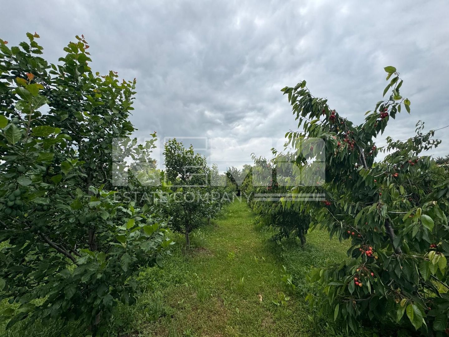 CASA DE VANZARE | INCHIRIERE | DUMBRAVENI | SUCEAVA - Poză 28