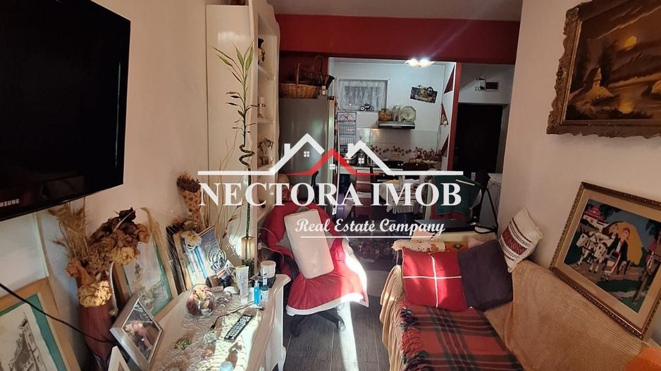 NECTORA IMOB-Apartament 2 camere Sanmartin, 40mp+20mp terasa, utilat - Poză 5