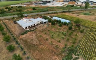 Livadă de 3,6 hectare în Iratoșu – Oportunitate - Poză 8