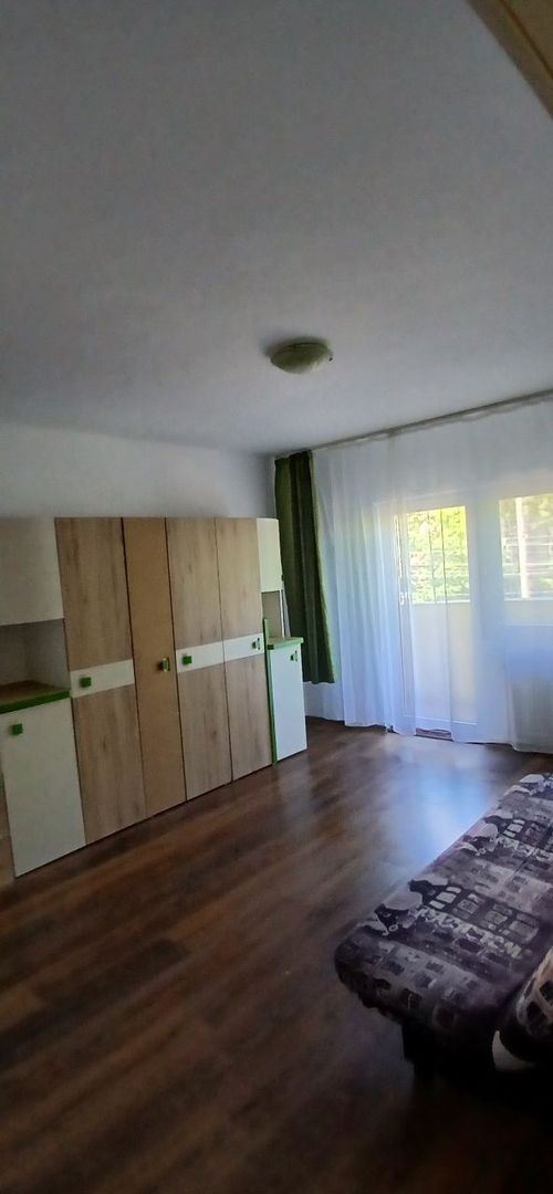 Aradului | 1 Camera | Etaj 1 | Bloc Izolat - Poză 4