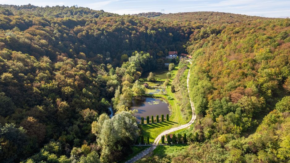 Domeniu în satul Căprioara - Poză 18