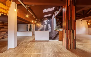 Spatiu comercial premium in vila – Bd. Republicii, Pitesti - Poză 13