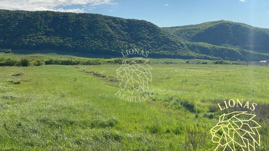 Teren intravilan-Crainimat -3000mp-ideal investitie construire casa - Poză 2