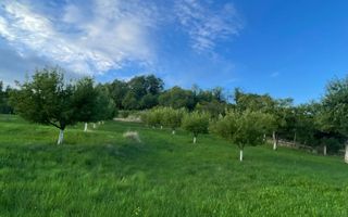EXCLUSIVITATE! TEREN INTRAVILAN 29.2 ARI + 5.8 ARI TEREN EXTRAVILAN, DE VANZARE - Poză 6