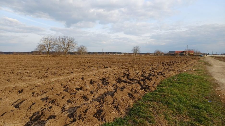 Teren de vânzare | Moara Vlăsiei | Utilități în zonă - Poză 1