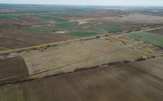 Teren 22.500 mp – Pecica, jud. Arad - Poză 7