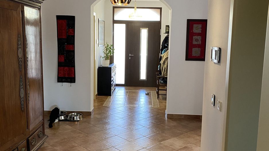 VILA  - ARADULUI. -British - Poză 8