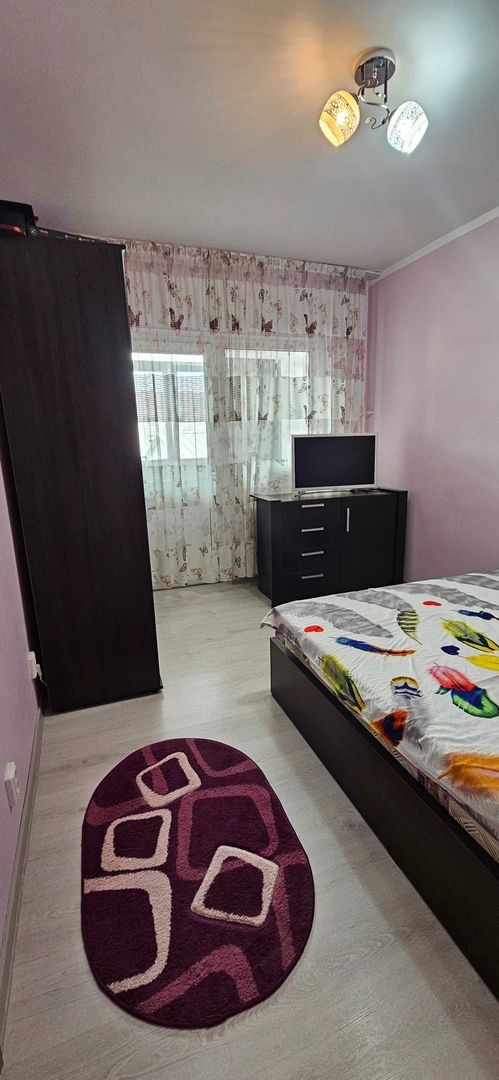 Apartament 2 camere- Lapus - Poză 3