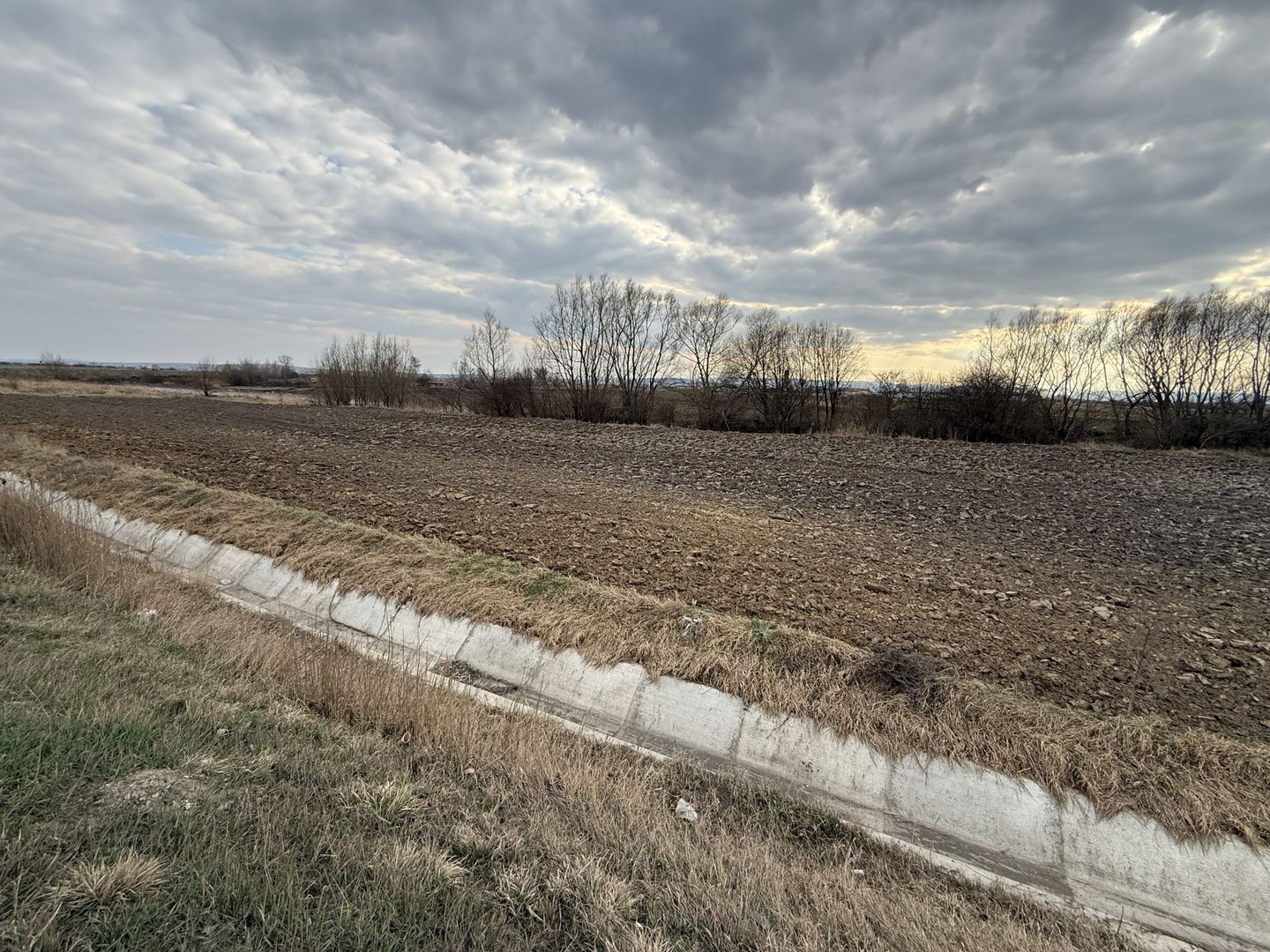 Teren extravilan | Rădăuți | 36 ARI - Poză 5