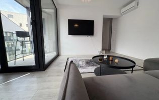 Apartament 2 camere de inchiriat Herastrau WIN