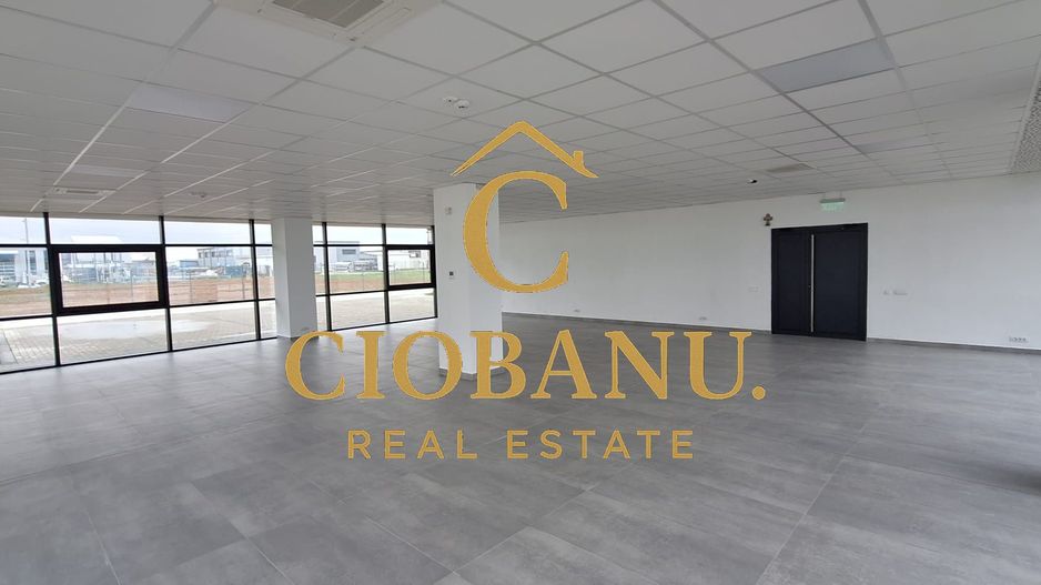 Hale industriale+Cladire de Birouri de inchiriat zona Aeroport - Poză 10