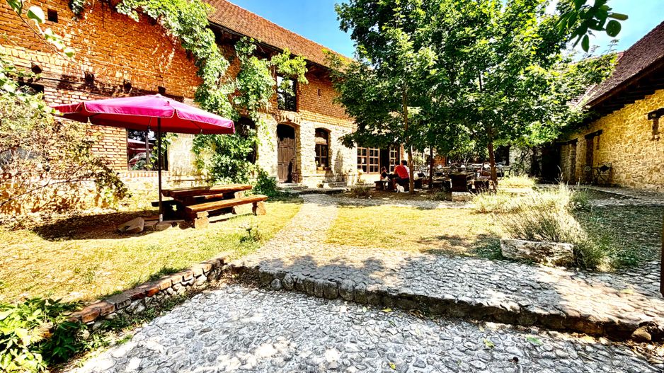 CASA THEA | INVESTIȚIE ÎN TURISM, GASTRONOMIE ȘI EXPERIENȚE | SOCOLARI - Poză 4