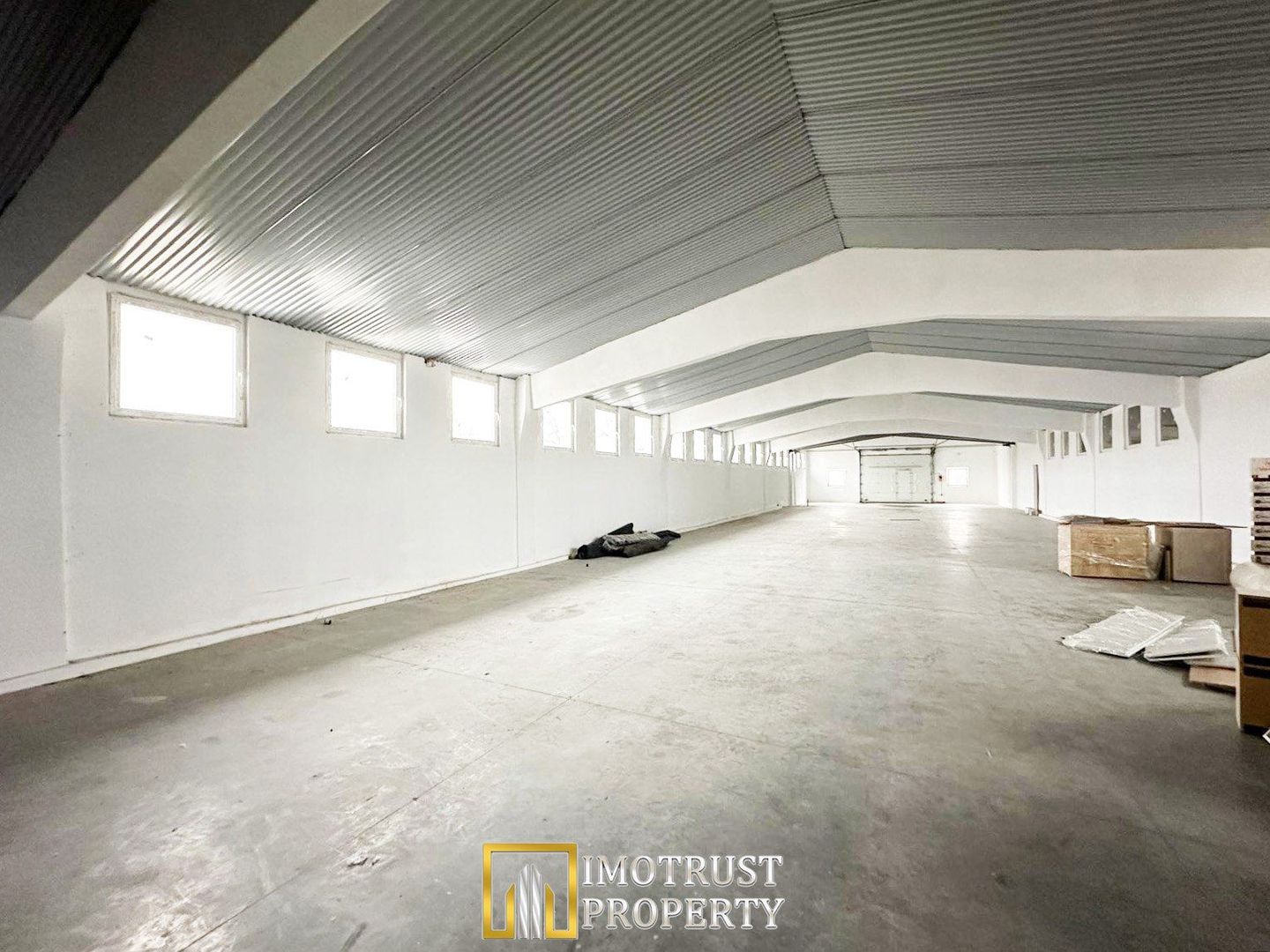 HALA INDUSTRIALA DE INCHIRIAT | PECICA – ARAD - Poză 4