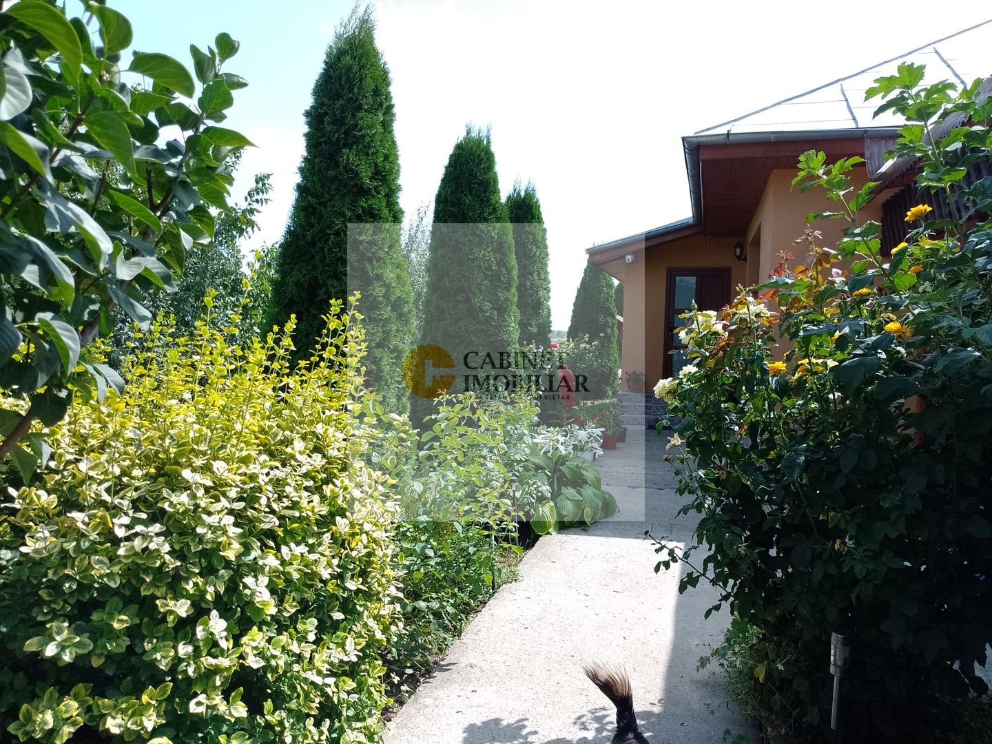Casă de vacanță modernă cu teren generos –15min de Tecuci - Poză 26