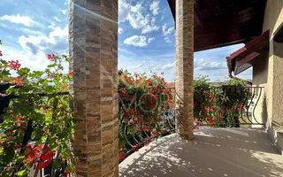 Casa individuala de vanzare - Sura Mare - Poză 14