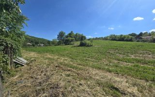 Ansamblu rezidențial cu două case și teren de 1,4 hectare, Bohotin - Poză 5