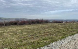 Teren intravilan | 500 MP | Daia - Poză 2