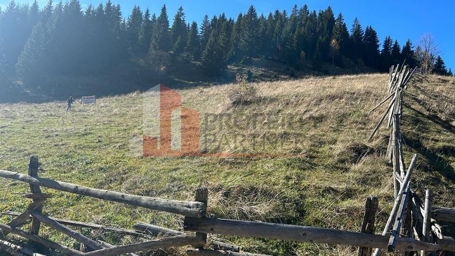 Teren Fundatica intravilan 4500 mp - Poză 11