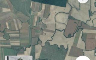 O oportunitate rară de investiție în agricultură, într-o zonă buna. - Poză 3