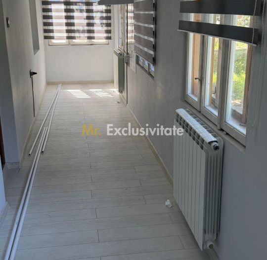 De vanzare proprietate Podari – 2 hale industriale + casa și spatiu recreativ - Poză 18
