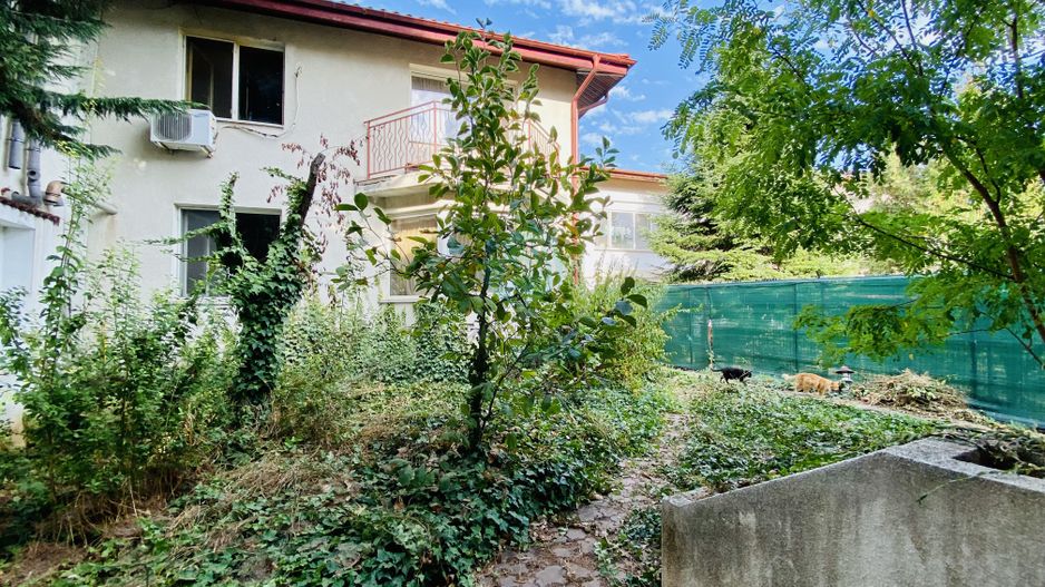 2 VILE CU TEREN DE 811 MP - Poză 11