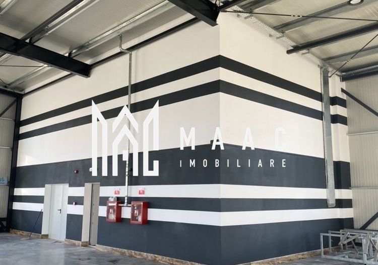 Hală logistică I 1200 mp I Acces TIR I Birouri I Tălmaciu - Poză 4