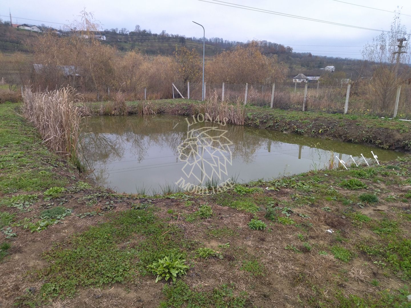 Casa de Lux 7 camere-270 mp-curte amenajata-teren 2312 mp-Salva - Poză 9