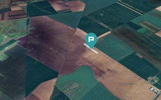 Teren 36.000 mp în Peciu Nou - Poză 3