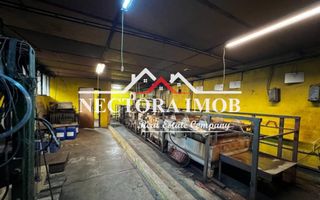 AFACERE-Complex hale industriale-2 loturi(teren+hale=total 4.300 mp) - Poză 6