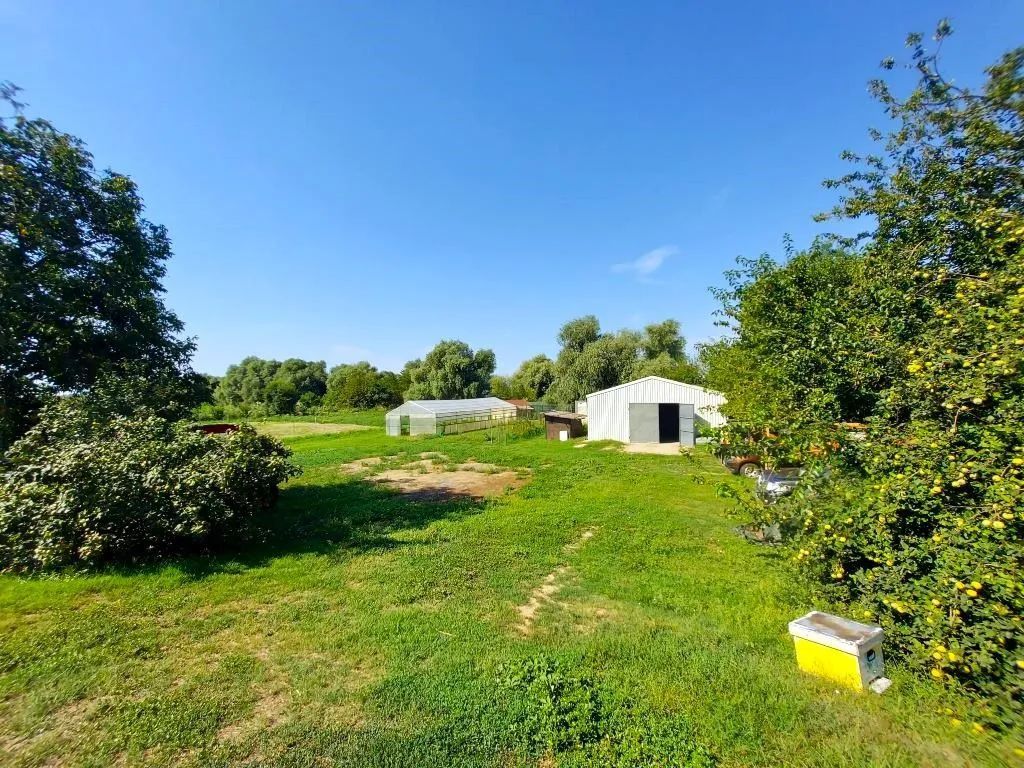 Oportunitate de investitie| Delta Dunarii |Mila 23| pensiune activa - Poză 26