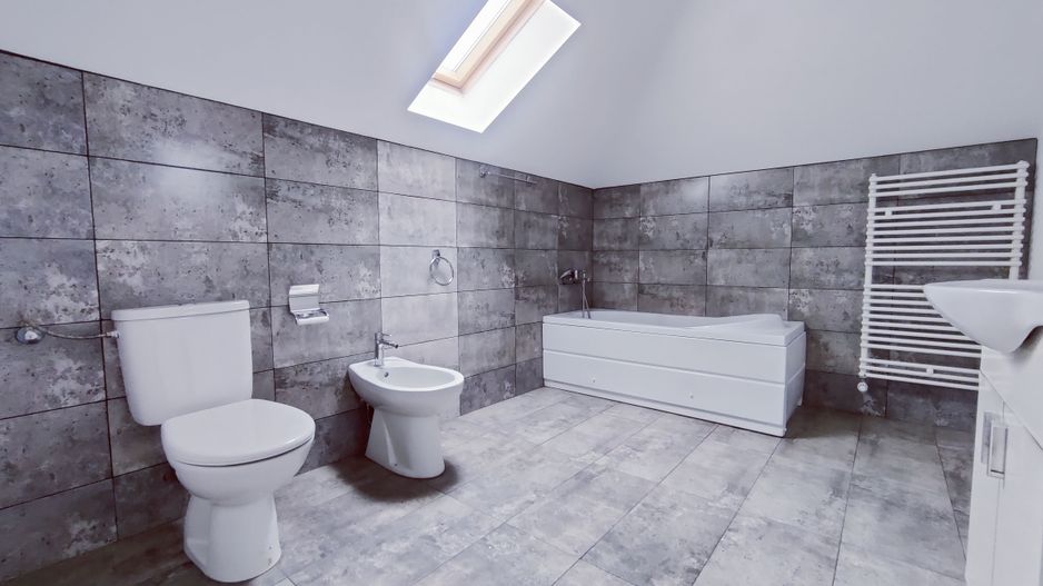 CASA SACALAZ 170 MP CU 640 MP TEREN - Poză 25