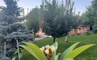 Spatiu restaurant/ evenimente  – Copou- complet echipat/ amenajat - 1000mp+ - Poză 18