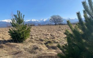 Teren Intravilan | 1000 MP | Valea Avrigului - Poză 1