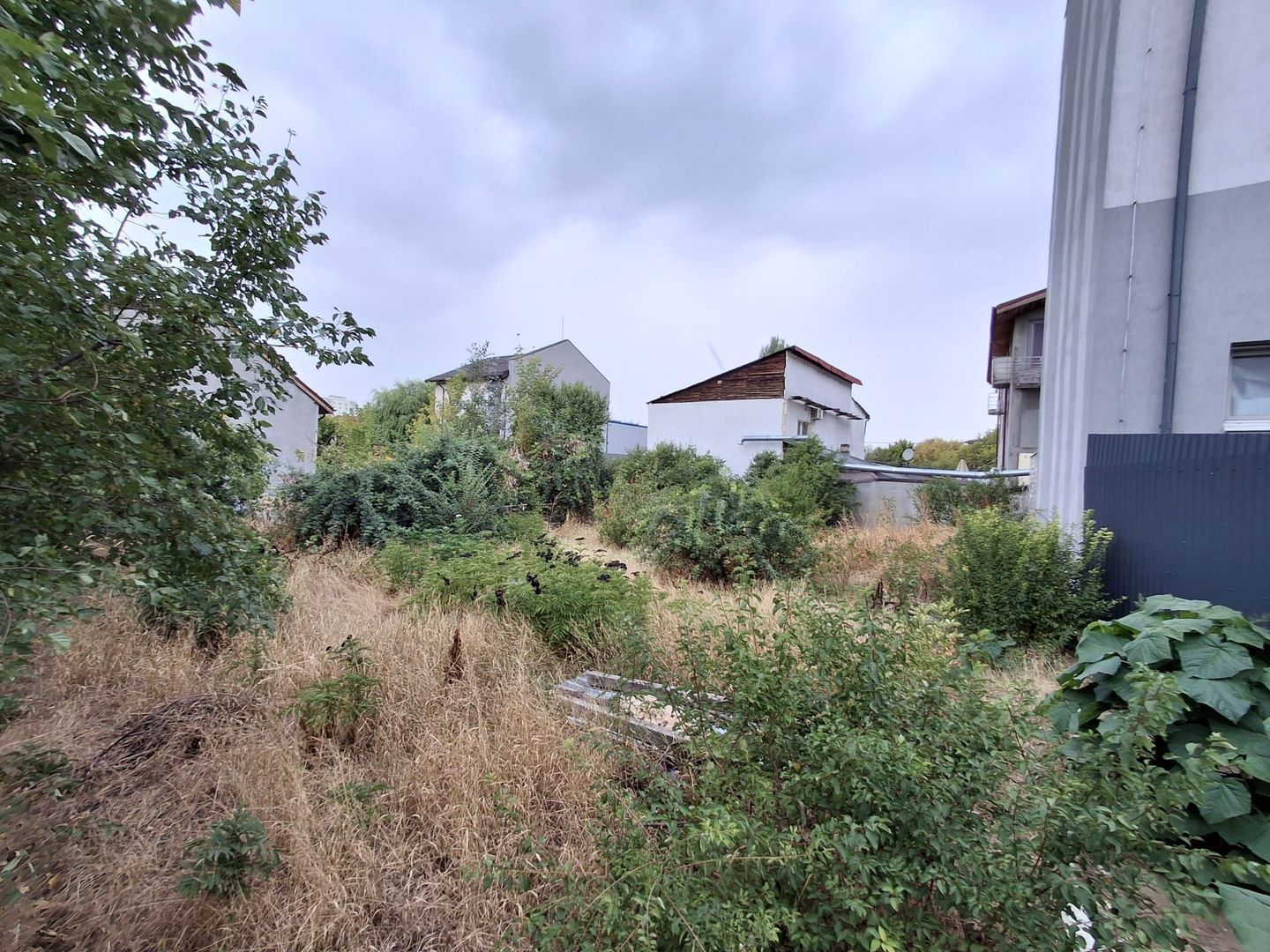 Teren de vanzare - zona Maior Colentina - Poză 10