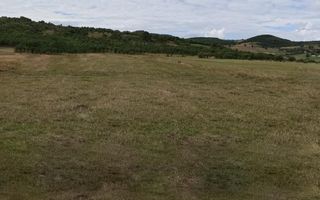 TEREN INTRAVILAN 5000 mp-ideal case,hale-Livezile PRET PROMO! - Poză 3