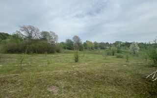 TEREN EXTRAVILAN 40000 MP, ALBESTI DE MUSCEL, CANDESTI - Poză 4