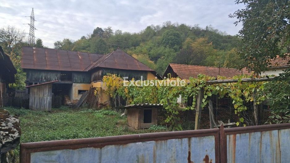 Casă tradițională cu teren generos – Borosteni, Peștișani, jud. Gorj - Poză 10