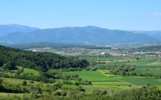 Teren intravilan 400 mp | Selimbăr-Bungard | Proiect,Autorizație - Poză 7