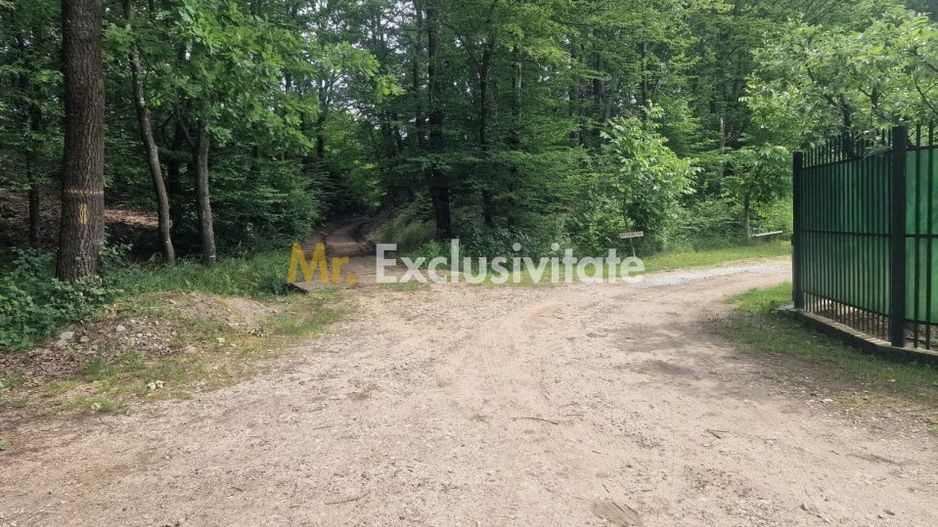 Teren extravilan Pitesti - str. Balotesi!! - Poză 3