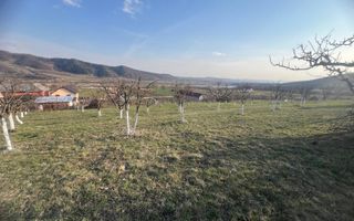 Teren 3100 mp-livada-ideal casa-Mititei - Poză 1