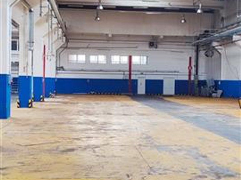 hale in parcul Roman sau tractorul - Poză 1