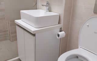Apartament cu 3 camere de închiriat - Tinererului - Poză 8