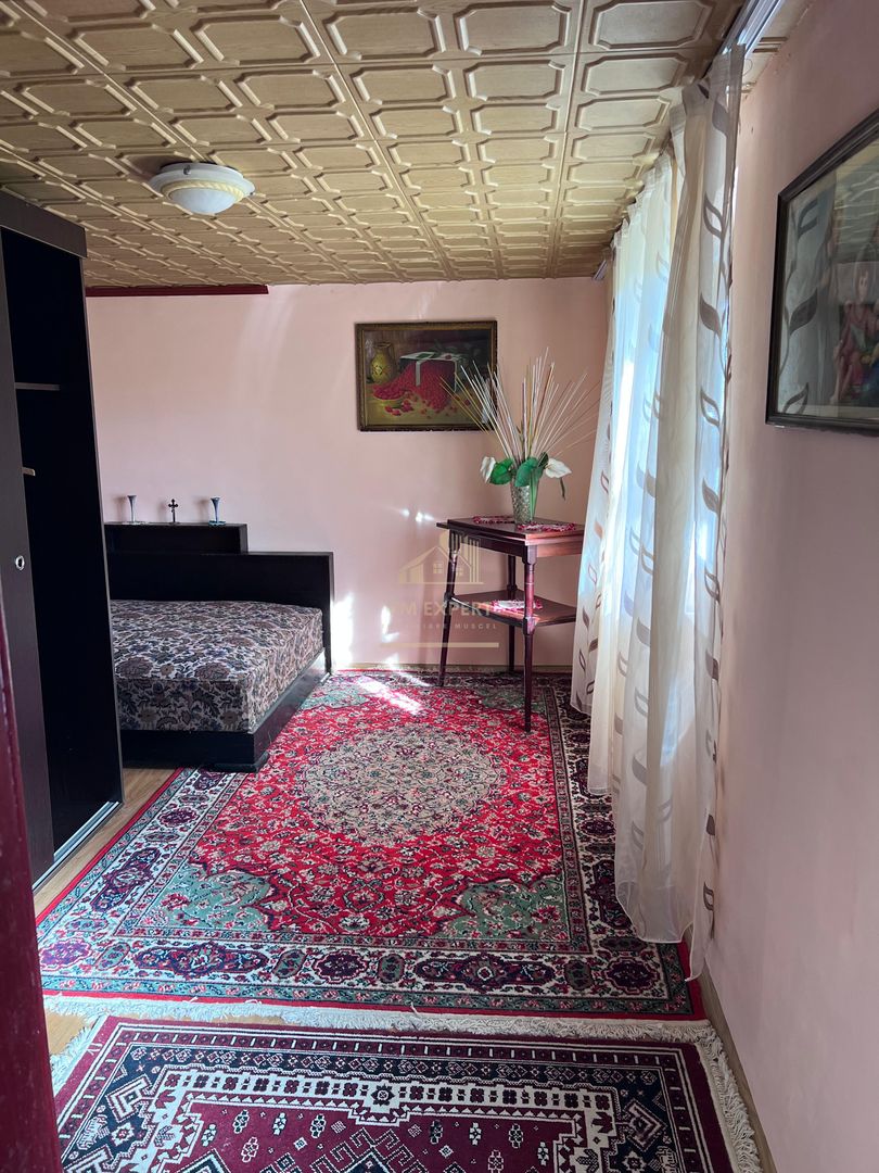 CASA 3 CAMERE, MATAU, CÂMPULUNG, TEREN 1709 - Poză 21