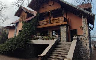 Pet Friendly, Vedere Padure, 5000mp teren, D+P+1E+M, semineu, foisor - Poză 35