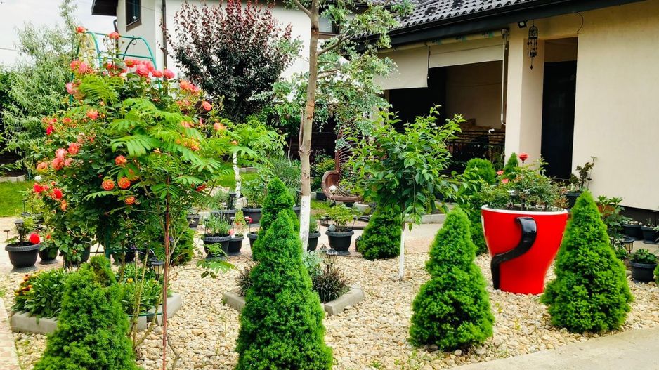 Parter cu structură pentru etaj, curte amenajată și organizare impeca - Poză 22